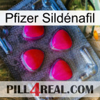 Pfizer Sildénafil 13